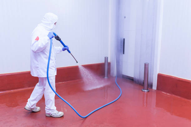 Best Pre-Holiday Cleaning  in Sisseton, SD